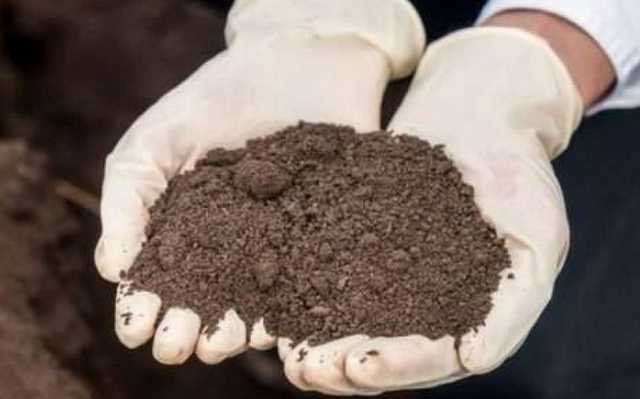 На Ніжинщині приватне підприємство отруїло грунт нітратами