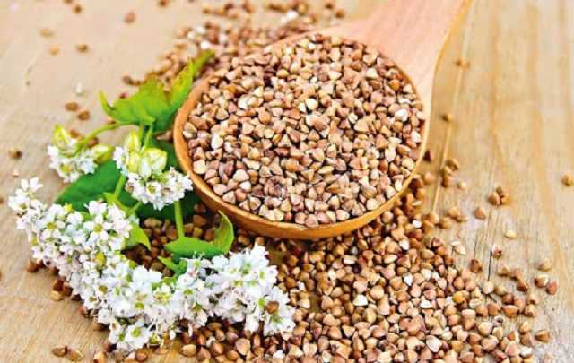 В Украине поднялись цены на гречку