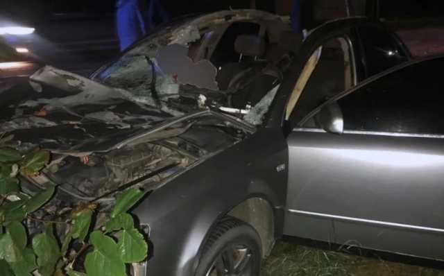 ДТП на Буковине: в аварии столкнулись легковое авто и лошадь