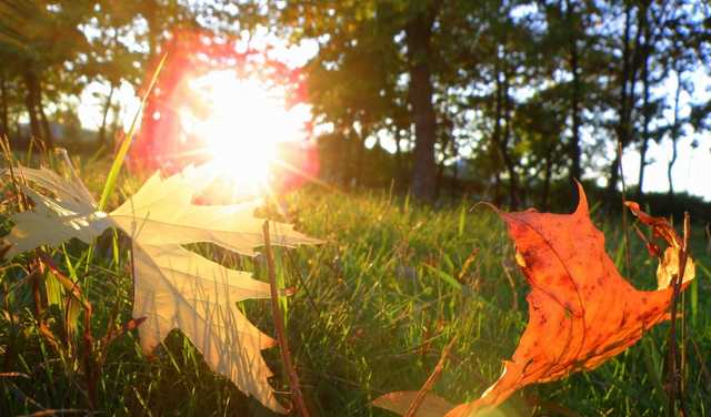 Летнее тепло возвращается: на выходных воздух в Украине прогреется до +27