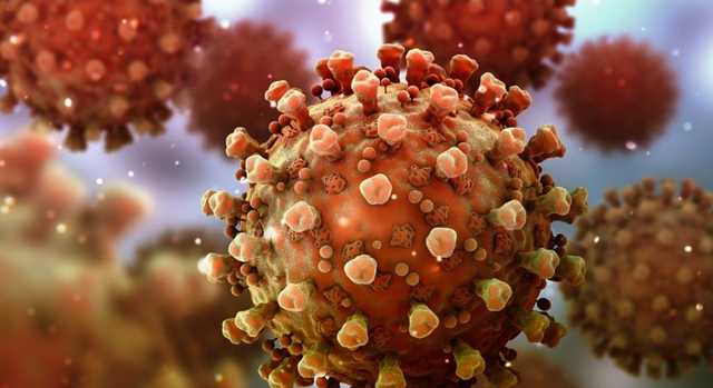 Украинцам рассказали, на какой день после вакцинации больше вероятность подцепить COVID-19