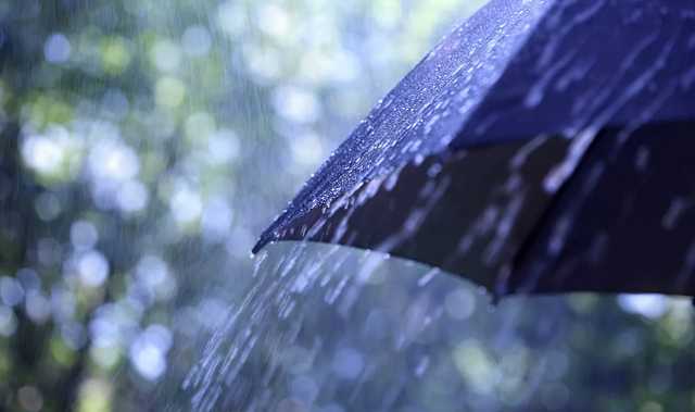 Киев в ближайший час накроет гроза