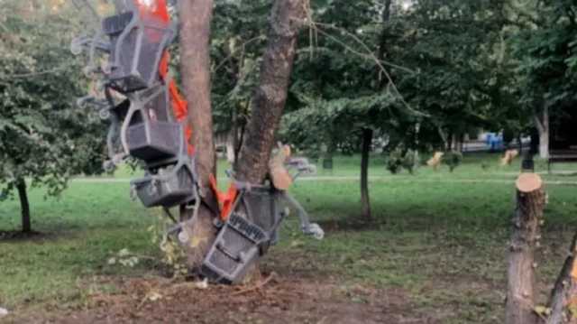 В киевском сквере по ночам развешивают на деревья тележки из супермаркета