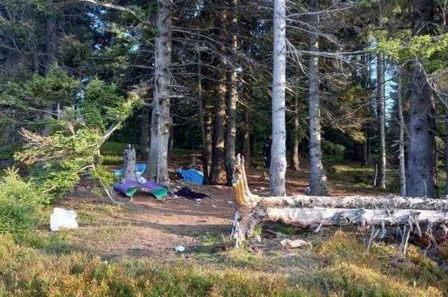 Очевидец раскрыл обстоятельства загадочного взрыва в Карпатах