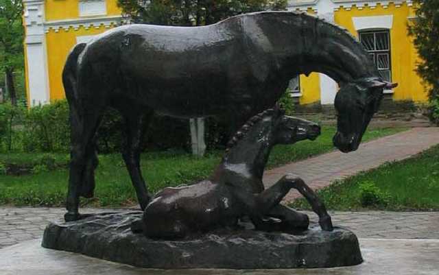 В Полтаве оправдали участников махинации с землей конного завода на 18 млн гривен