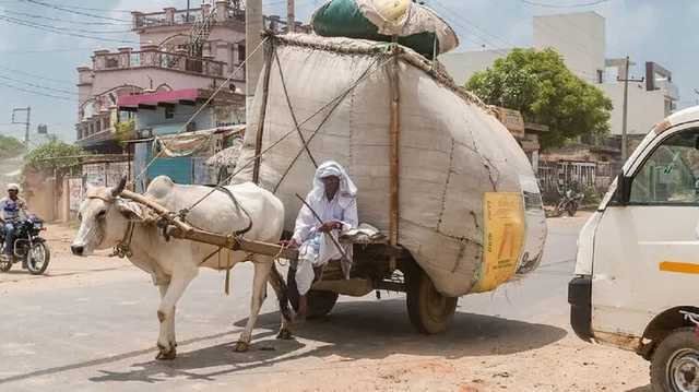 Впервые после начала пандемии Индия может открыться для иностранных туристов