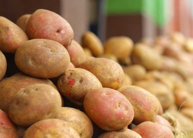 Украина начала "кормить" Беларусь своей картошкой