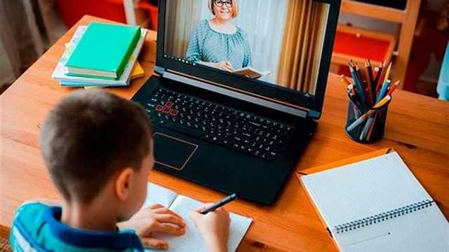 Правительство разрешило школам переходить на дистанционное обучение