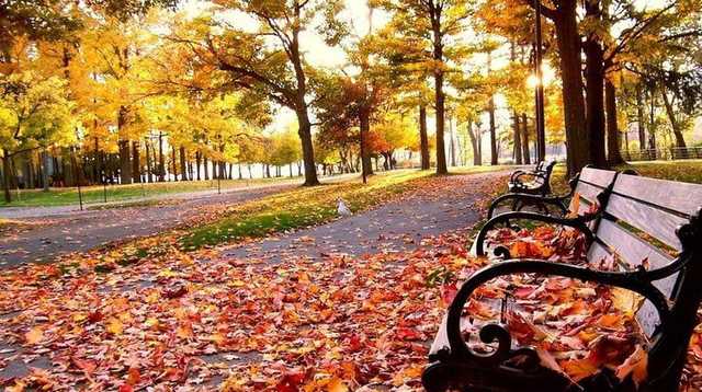 В Украину идет потепление