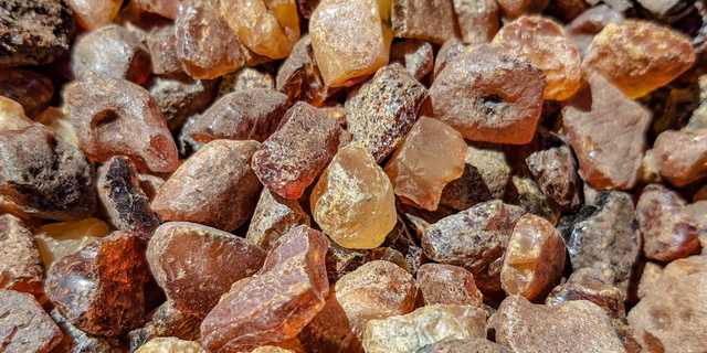 Рудьковські зайшли в бурштиновий бізнес