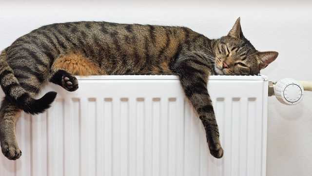 Министр рассказал, вырастут ли тарифы на тепло для украинцев