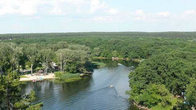 В житомирском заповеднике провели незаконную вырубку сосен