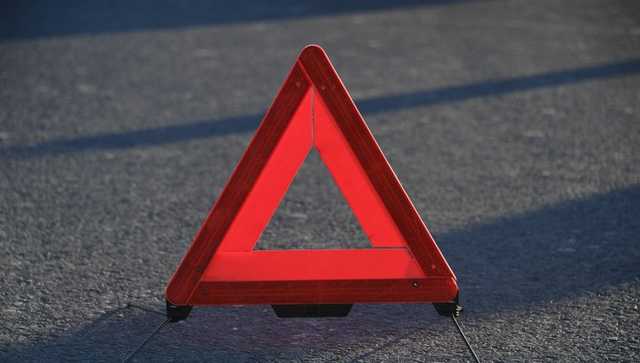 В Запорожской области водитель грузовика, сдавая назад, насмерть сбил мужчину