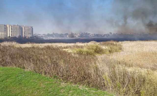В Балаклее вспыхнул масштабный пожар, огонь подбирается к жилым домам