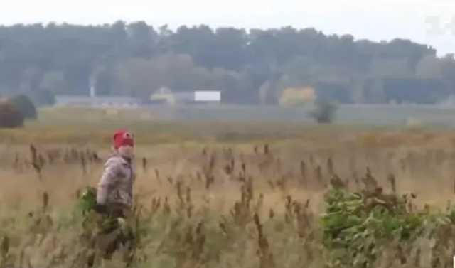 Вместо уроков в лицее школьники села в Ровенской области копают картошку