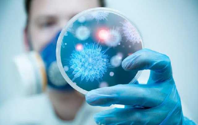 В Ровенской области нашли полиомиелит у семерых детей из семьи антипрививочников