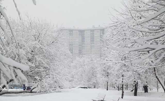 Европу ждет страшная зима — The Telegraph