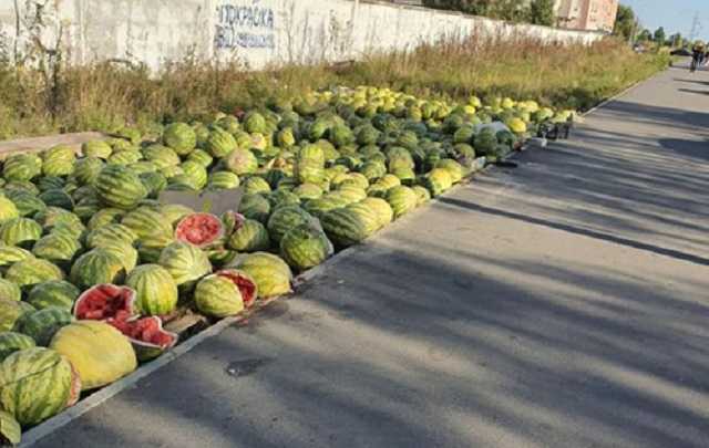 Бізнес не пішов: у Києві стихійні продавці залишили сотні гнилих кавунів на вулиці
