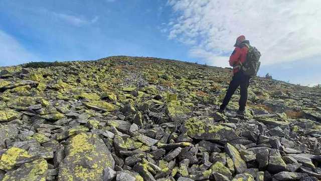 Пошел по грибы и не вернулся: в Карпатах вторые сутки ищут мужчину