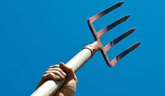 Под Киевом мужчина напал на полицейских с вилами: его остановили выстрелом