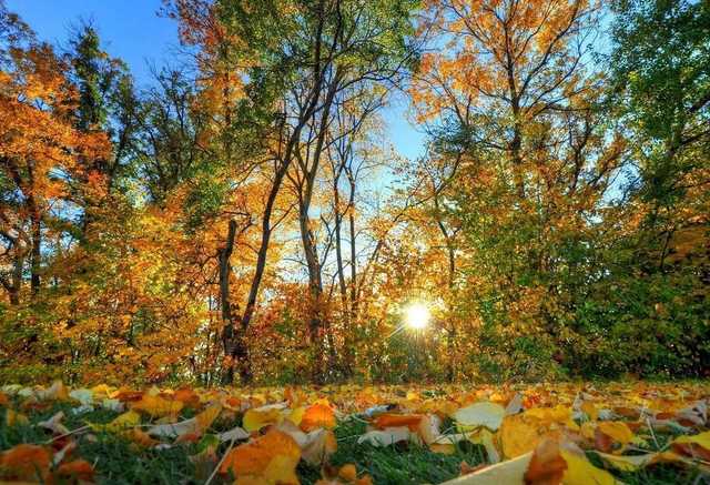 Украина ушла на длинные выходные: как будут работать банки и почта