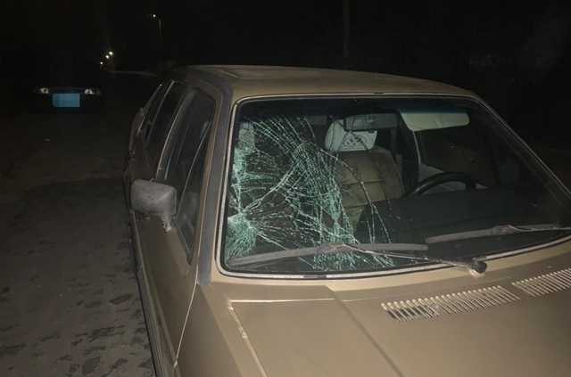 Работнику Радомышльского лесхоза вручили подозрение за смертельную аварию