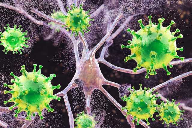 Названа длительность иммунитета у переболевших COVID