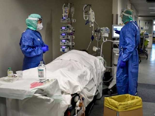 «Система не справилась. Умирать придется дома»: Литвинова о ситуации с ковидом