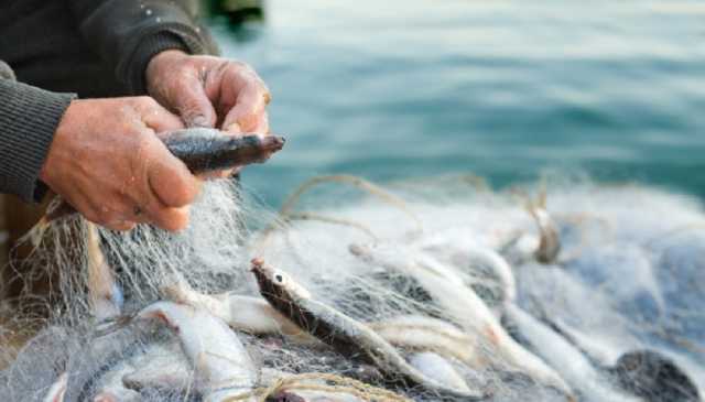 В Украине существенно выросли штрафы за незаконный вылов рыбы
