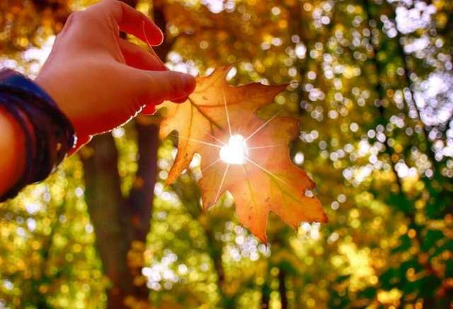 В Украину идет потепление до +20 градусов