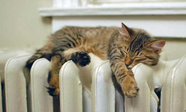 Когда включат отопление в Киеве: названо условие