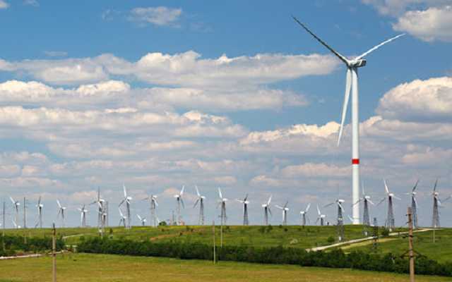 Ветер в поле. Как экс-прокурор времен Януковича строит крупнейшую ВЭС в Европе