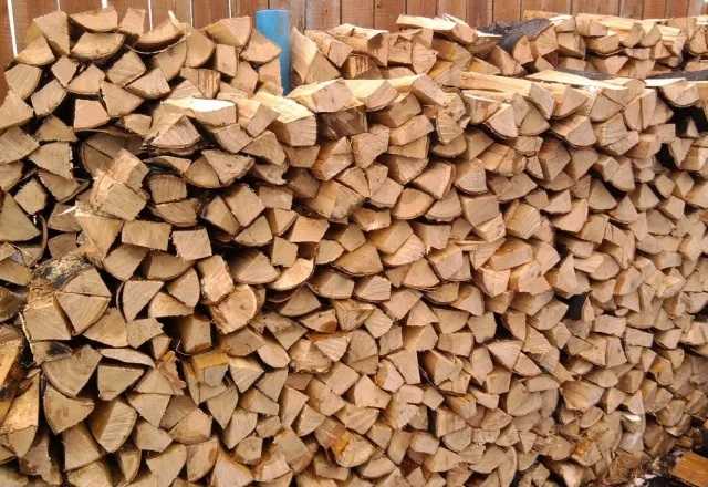 Мошенники крадут у украинцев деньги при покупке дров: как работает схема