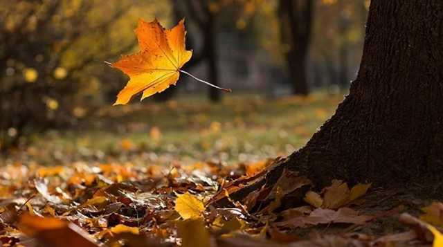 В Украину ворвется мощное потепление