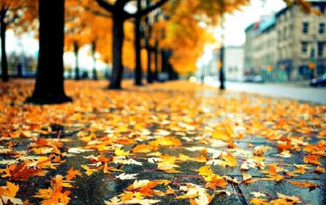 Спасатели объявили штормовое предупреждение по всей Украине