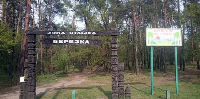 В Киеве вспыхнул масштабный пожар в парке отдыха