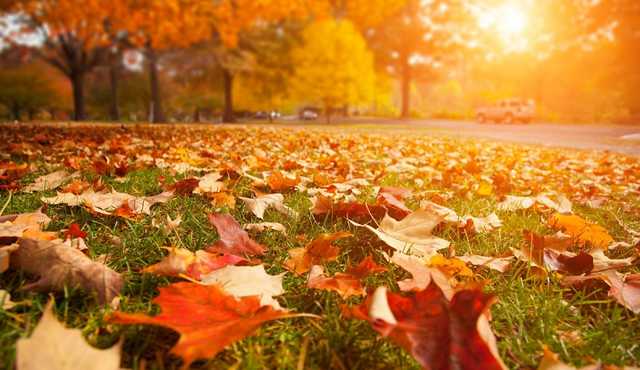 В Киеве зафиксировали первый температурный рекорд этой осени