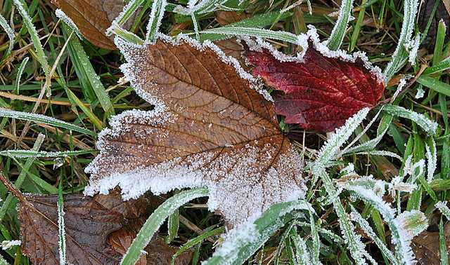 Антициклон принесет резкое похолодание: какую погоду ждать в воскресенье