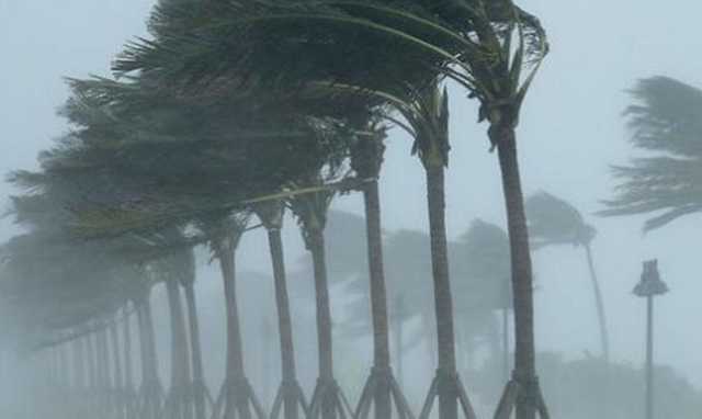 Тропический шторм Рик перерос в ураган: жителей Мексики предупредили о ливнях