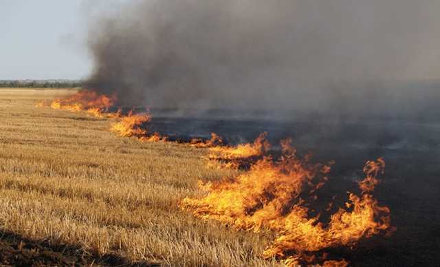 На Буковине поджигателей травы ищут с помощью дрона