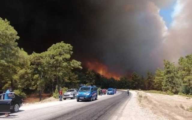 Семерых граждан РФ арестовали в Турции по подозрению в поджоге леса