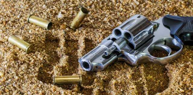 Венедіктова виступила проти дозволу на носіння короткоствольної вогнепальної зброї