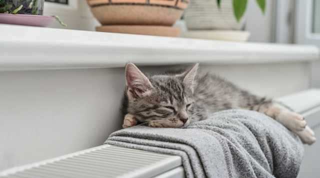 Отопление включили в более чем 70% домов, - Минрегион