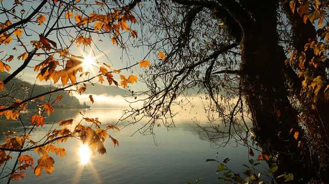 В Украину идет потепление, есть вероятность дождей: синоптик озвучила прогноз