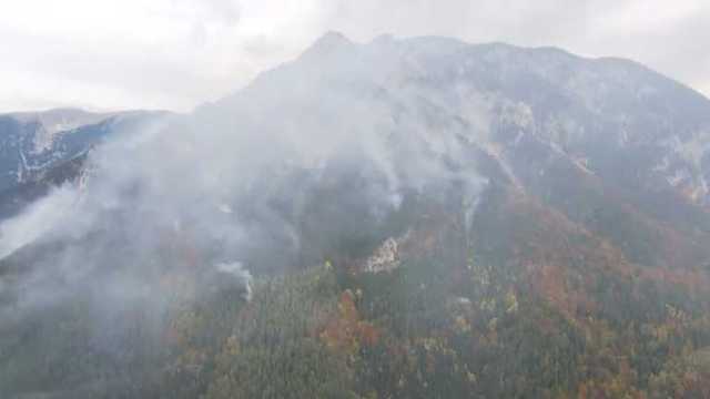 Локализовать огонь не удается: в австрийских Альпах бушует масштабный лесной пожар