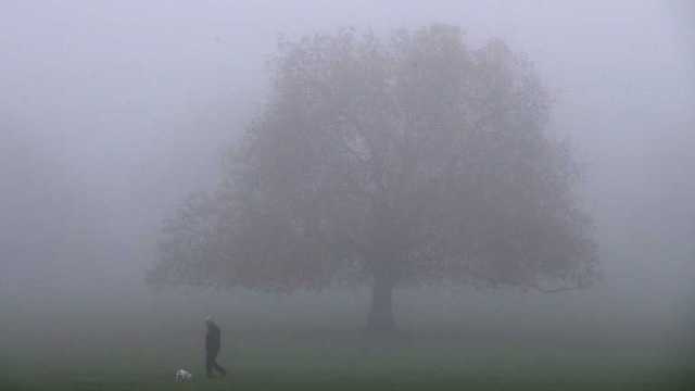 Украину накроет густой туман: в каких регионах ждать ограниченную видимость