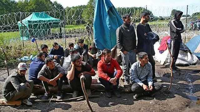 Польша потратит 353 млн евро на строительство стокилометровой стены на границе с Беларусью