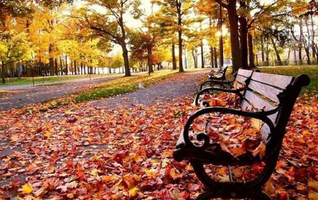 В Украину идут похолодание и дожди