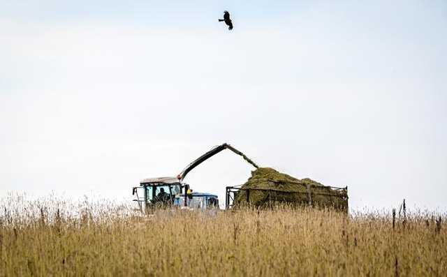 Le Monde: Россия и миф о счастливой смене климата