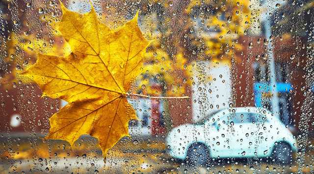 В Украину идет резкое похолодание с дождями